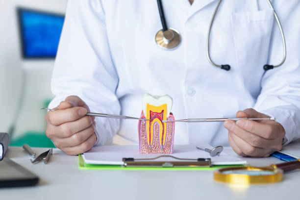Best Emergency Root Canal Treatment in Stockdale, TX